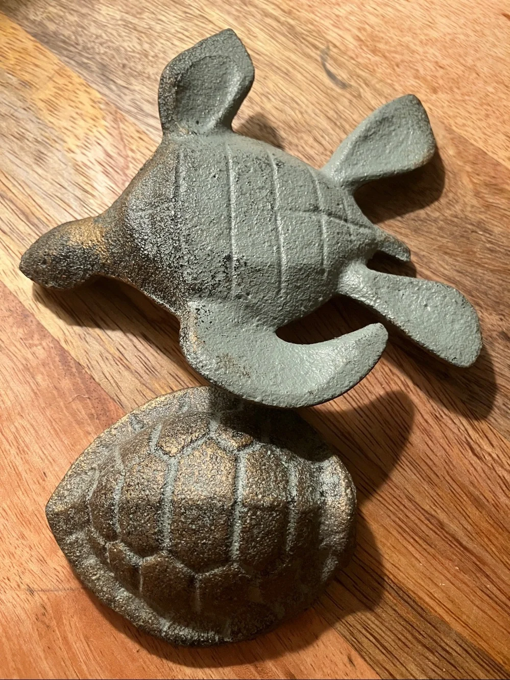 Sea turtle trinket holder